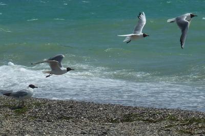 Прикрепленное изображение: b12.jpg